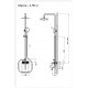 S8859-8 Стойка душевая Feinise , 3-х функциональная, в комплекте лейка и шланг, Латунь, Черный
